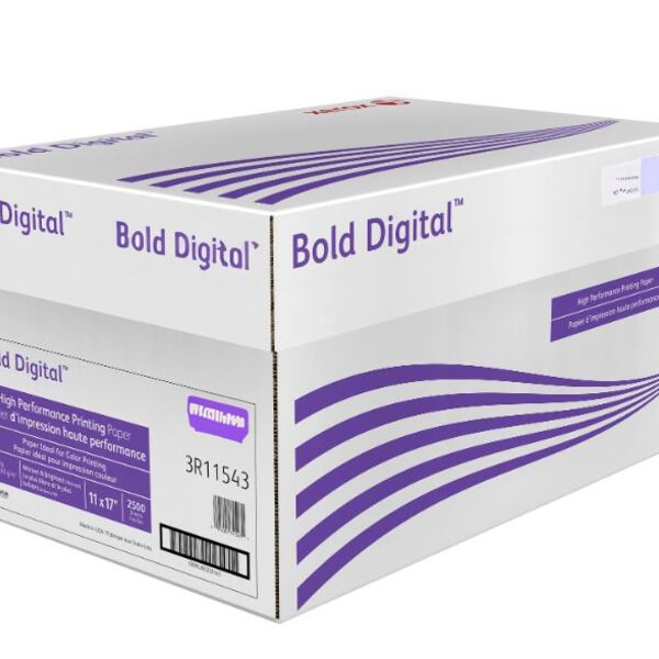 Blank Kids Menu paper  Thumbnail