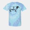 Multi-Color Spiral Tie-Dyed T-Shirt Thumbnail