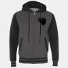 Heavyweight Varsity Full-Zip Hooded Sweatshirt Thumbnail